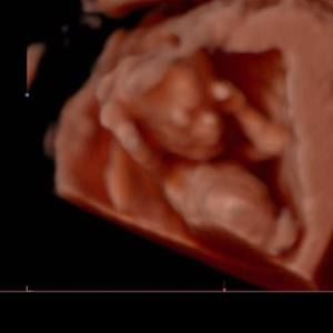 Meet your Posher, Wendy